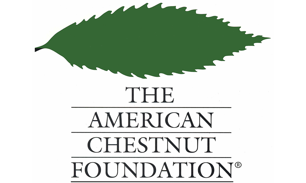 ACF Logo