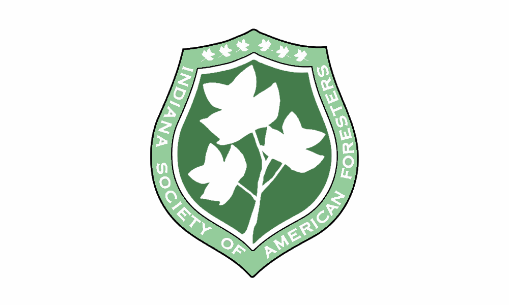 INSAForesters logo