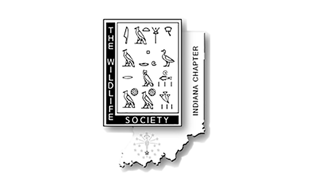 INTWS logo
