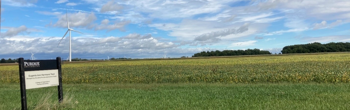 Herrmann Tract landscape