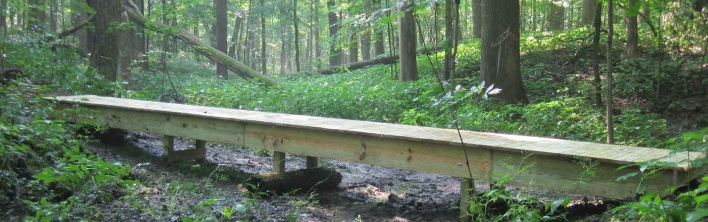 Stewart Woods landscape