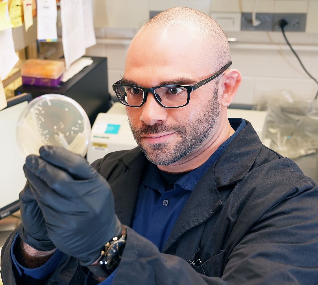 Nicholas Gallina looking at a petri dish containing bacteria