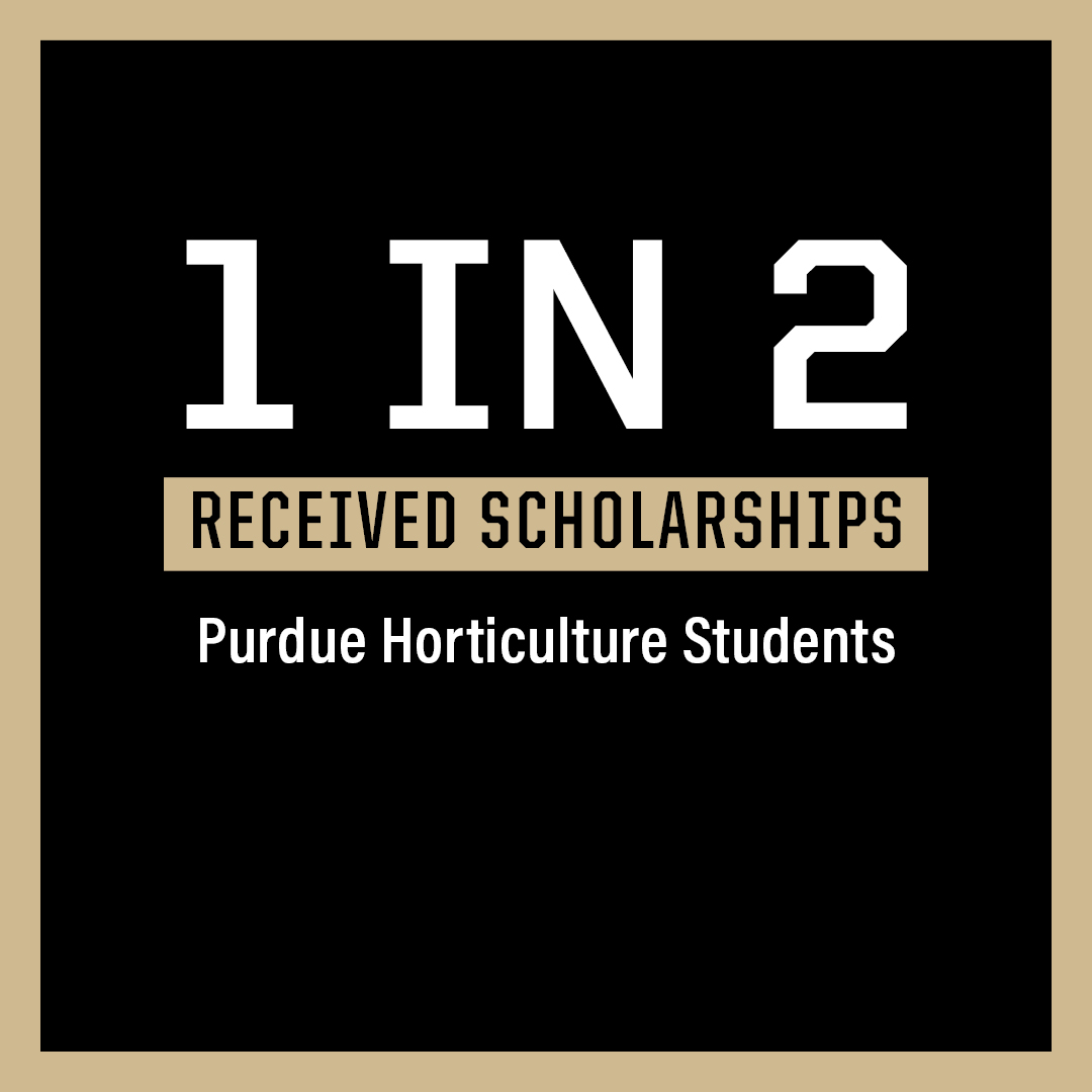 1 in 2 Received Scholarships