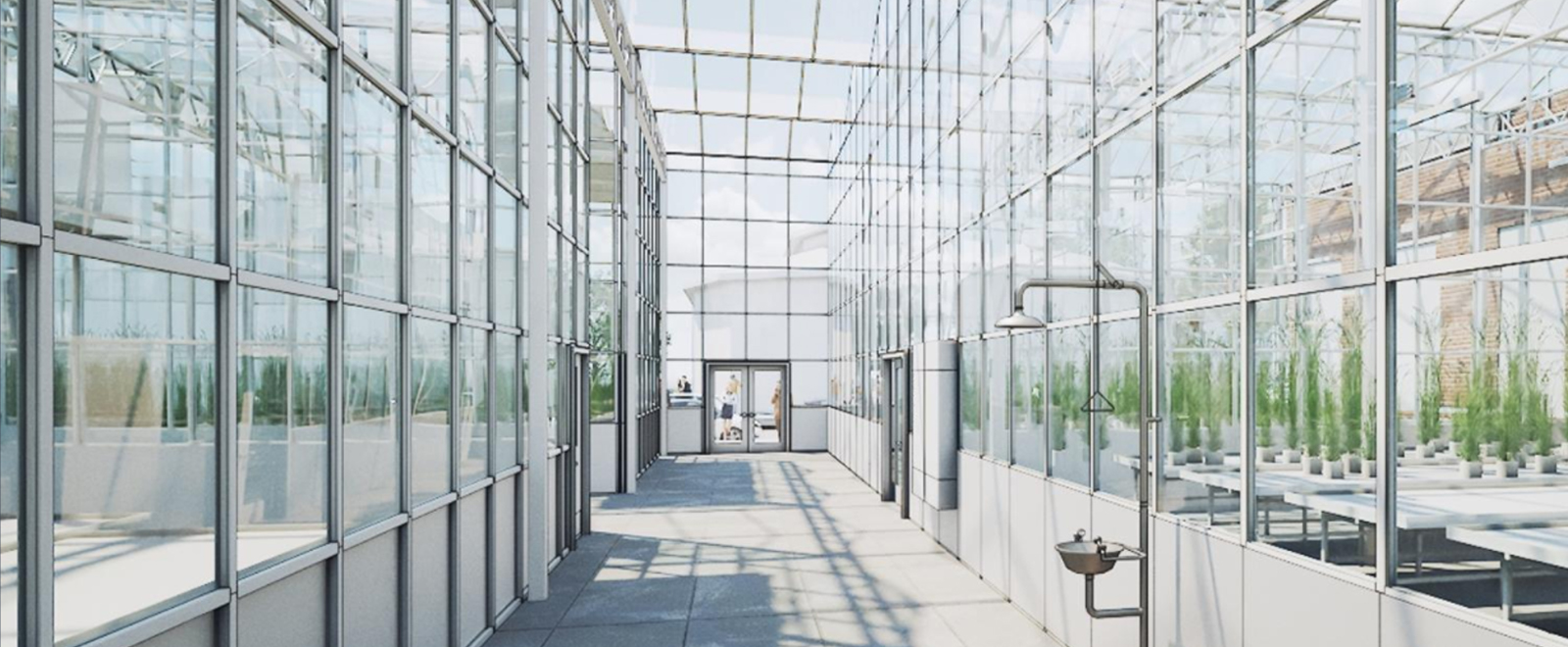 Greenhouse Rendering