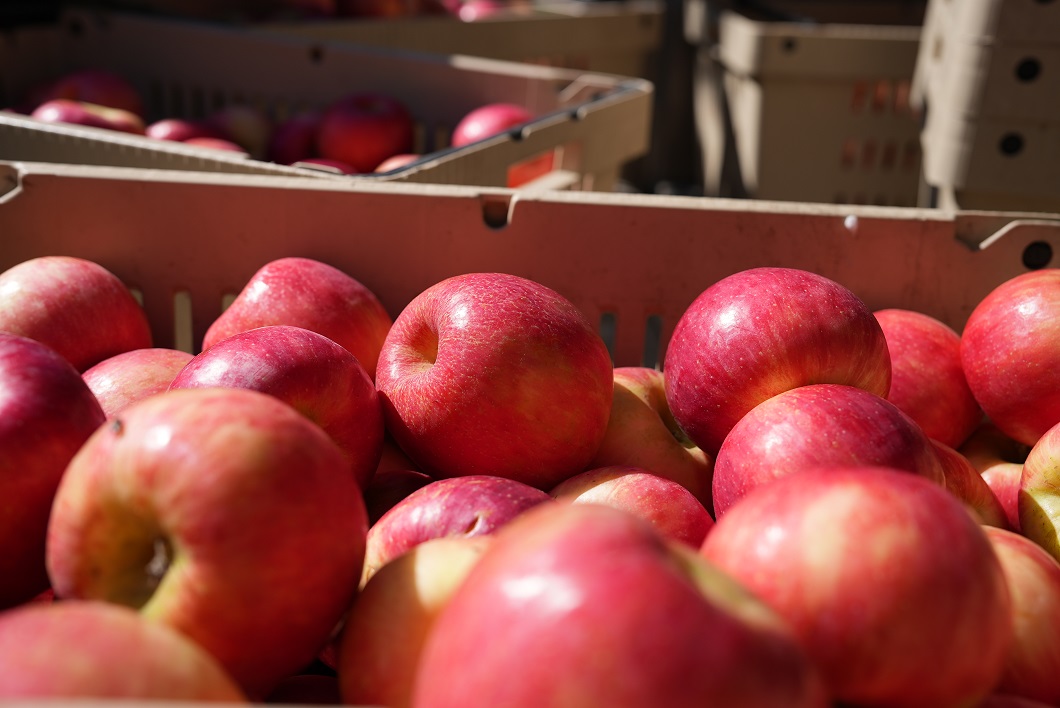 apple-meigs-crate